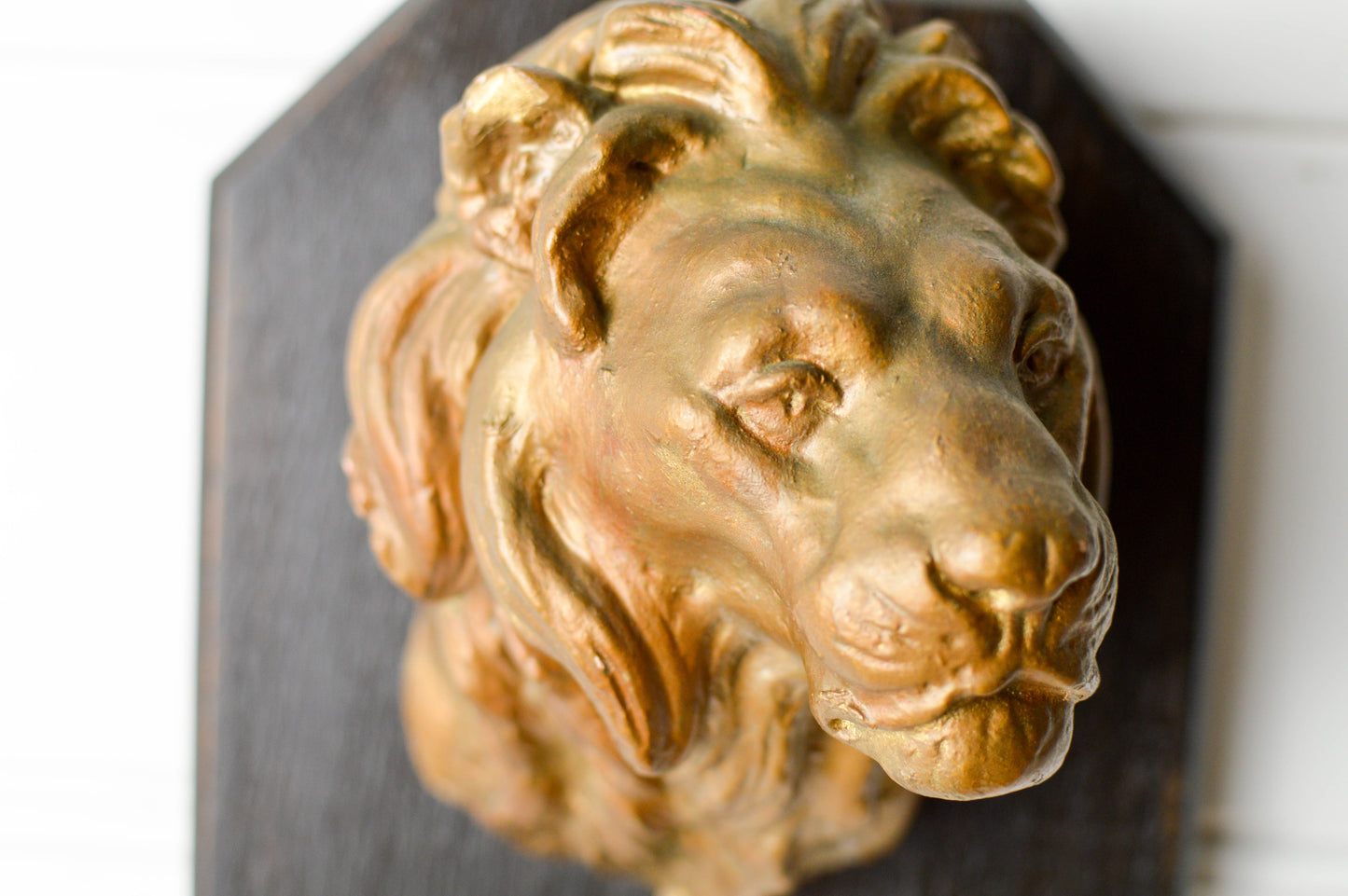 Vintage Terracotta lion mounted on wooden plaque