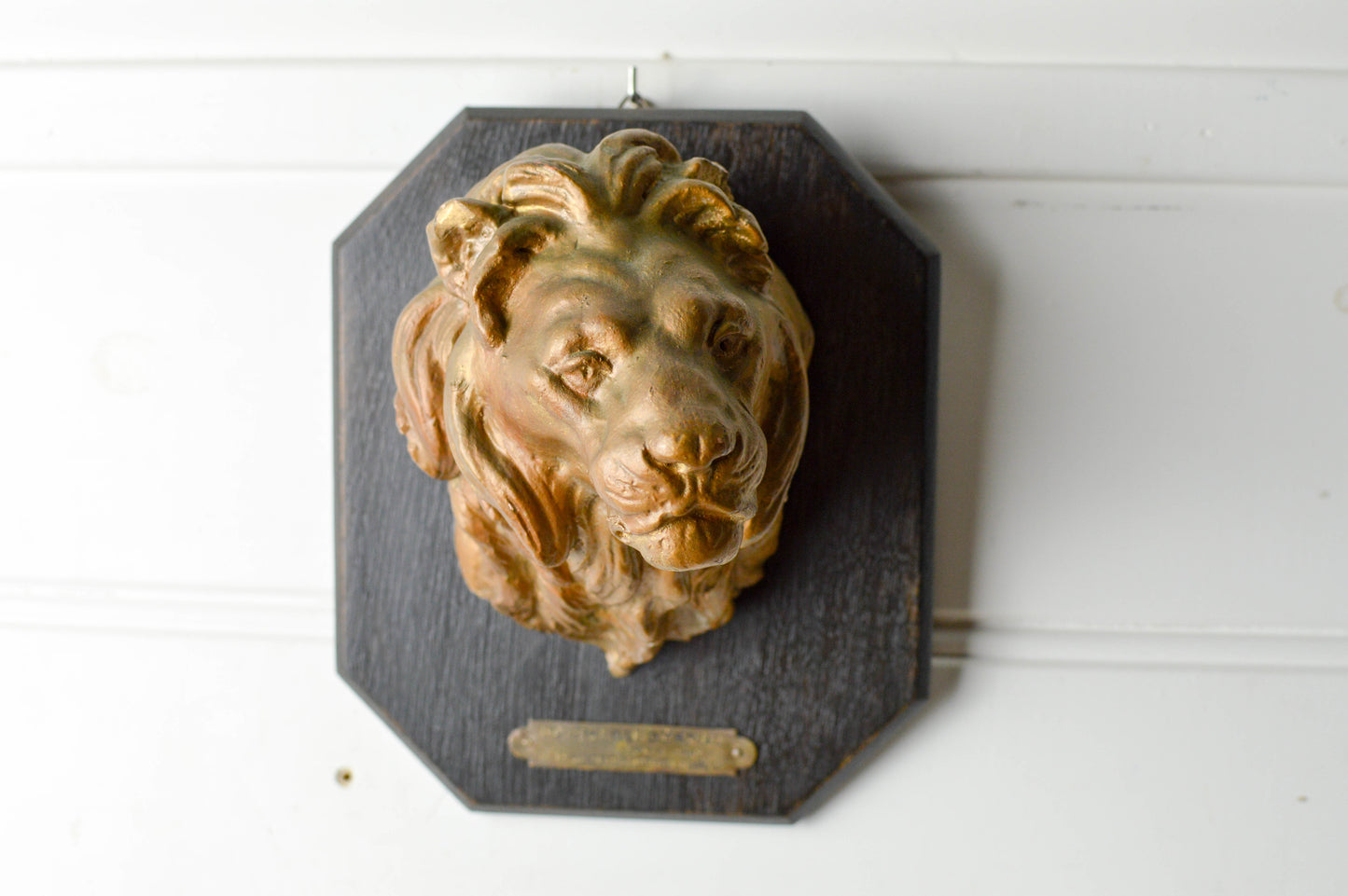 Vintage Terracotta lion mounted on wooden plaque