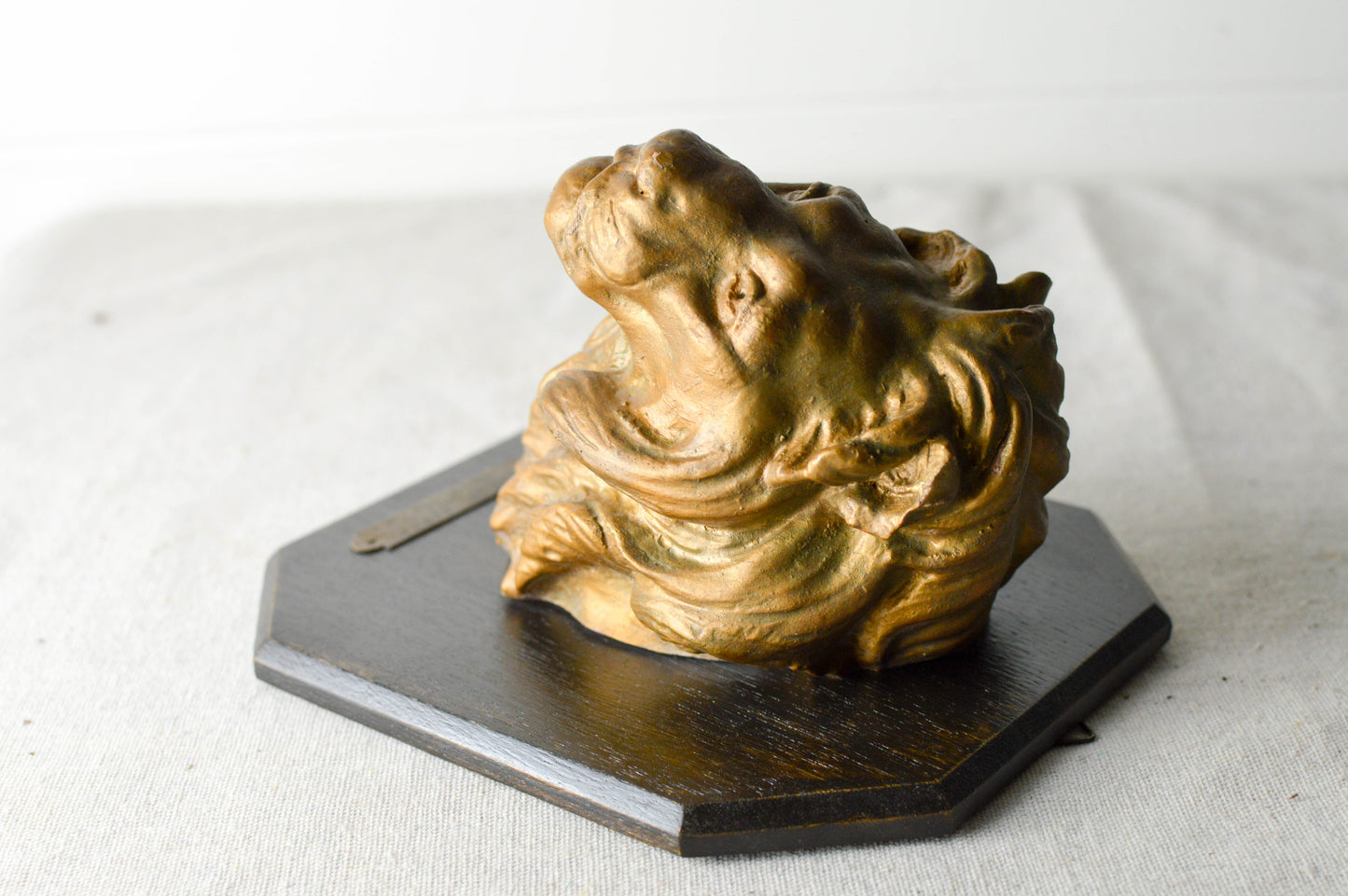 Vintage Terracotta lion mounted on wooden plaque